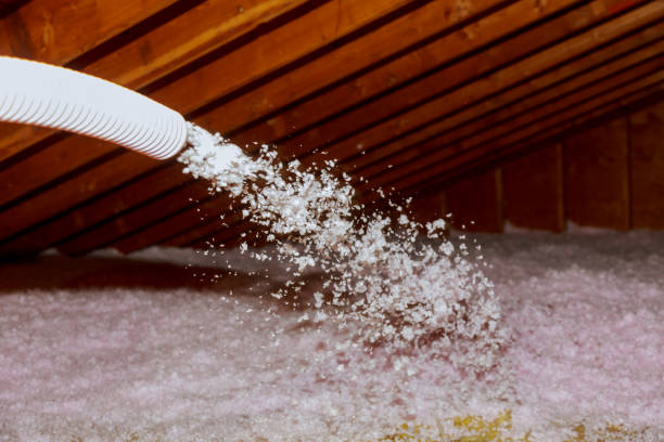 Best Residential Insulation in Mount Hermon, VA