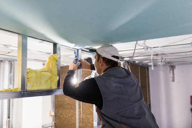 Best Spray Foam Insulation in Mount Hermon, VA