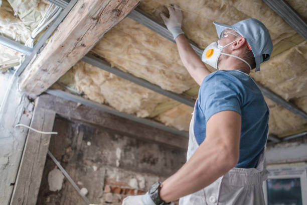 Best Geographic-Specific Insulation Services in Mount Hermon, VA