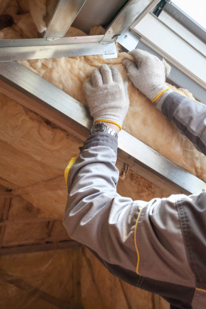 Types of Insulation We Offer in Mount Hermon, VA