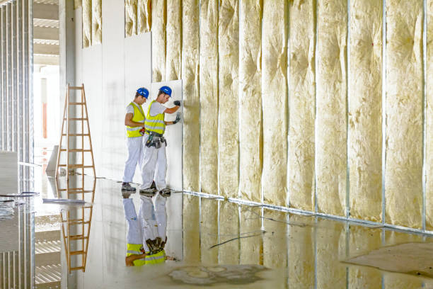 Professional Insulation Contractor in Mount Hermon, VA